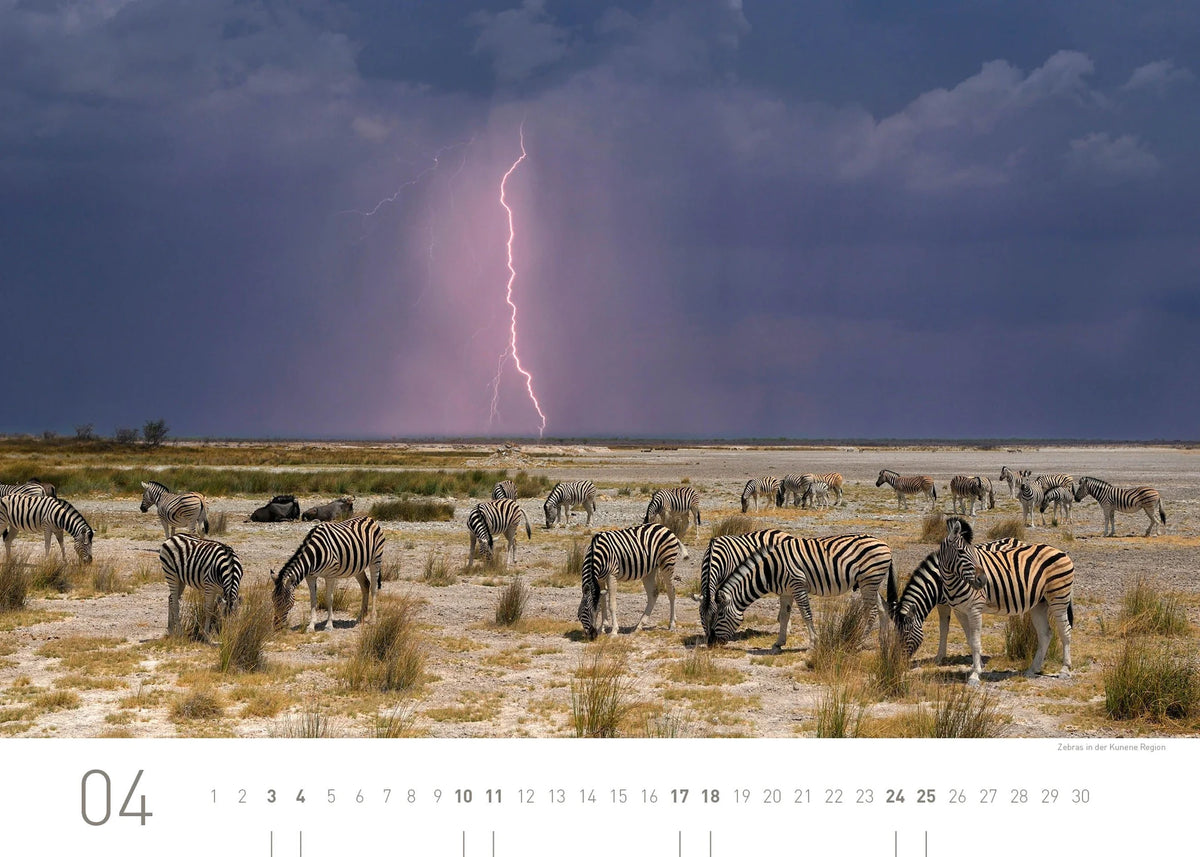 Namibia Exklusivkalender 2027 – Ansicht