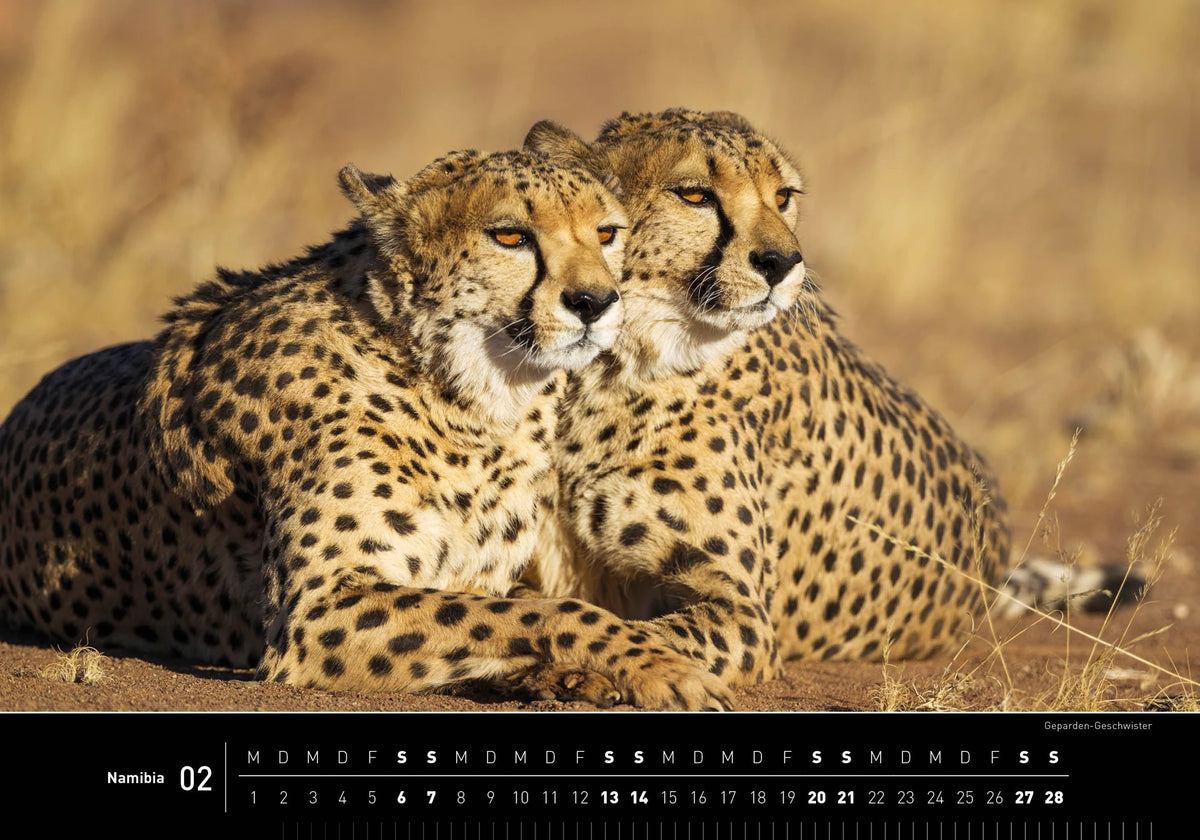Namibia Premiumkalender 2027 – Ansicht