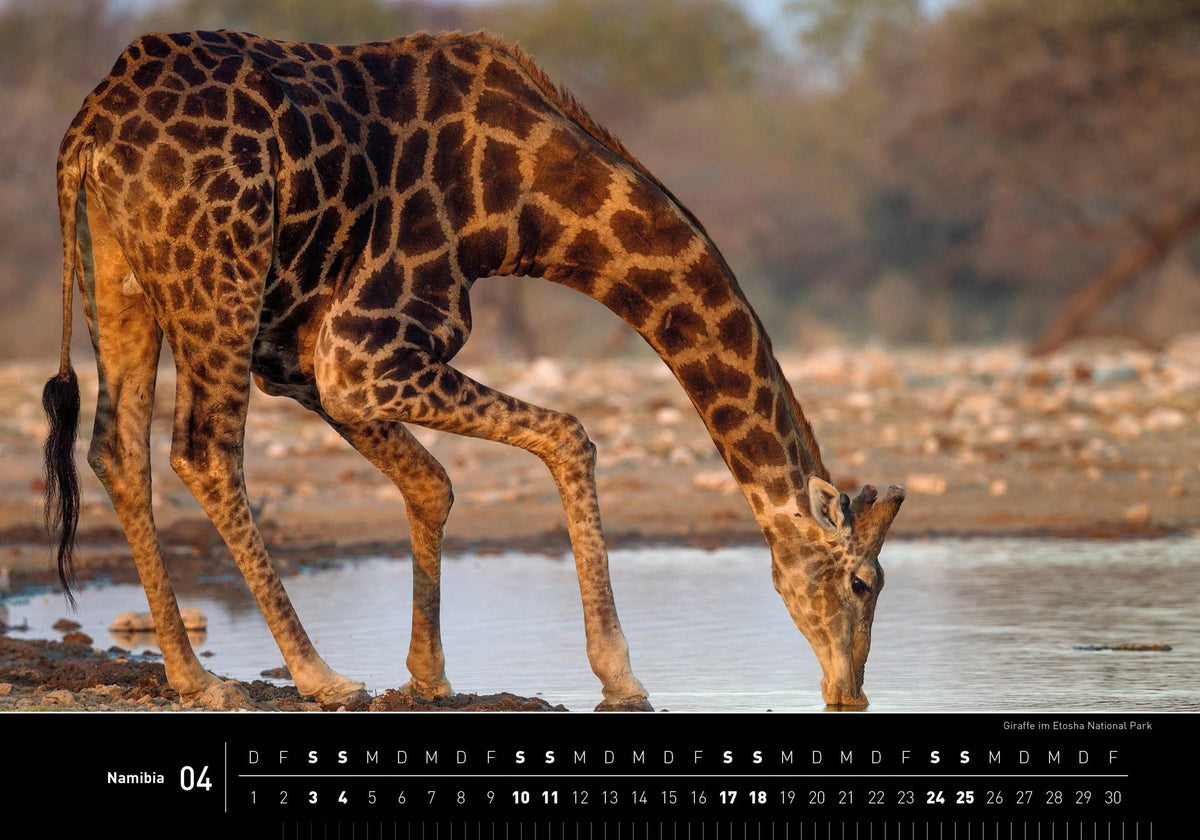 Namibia Premiumkalender 2027 – Ansicht