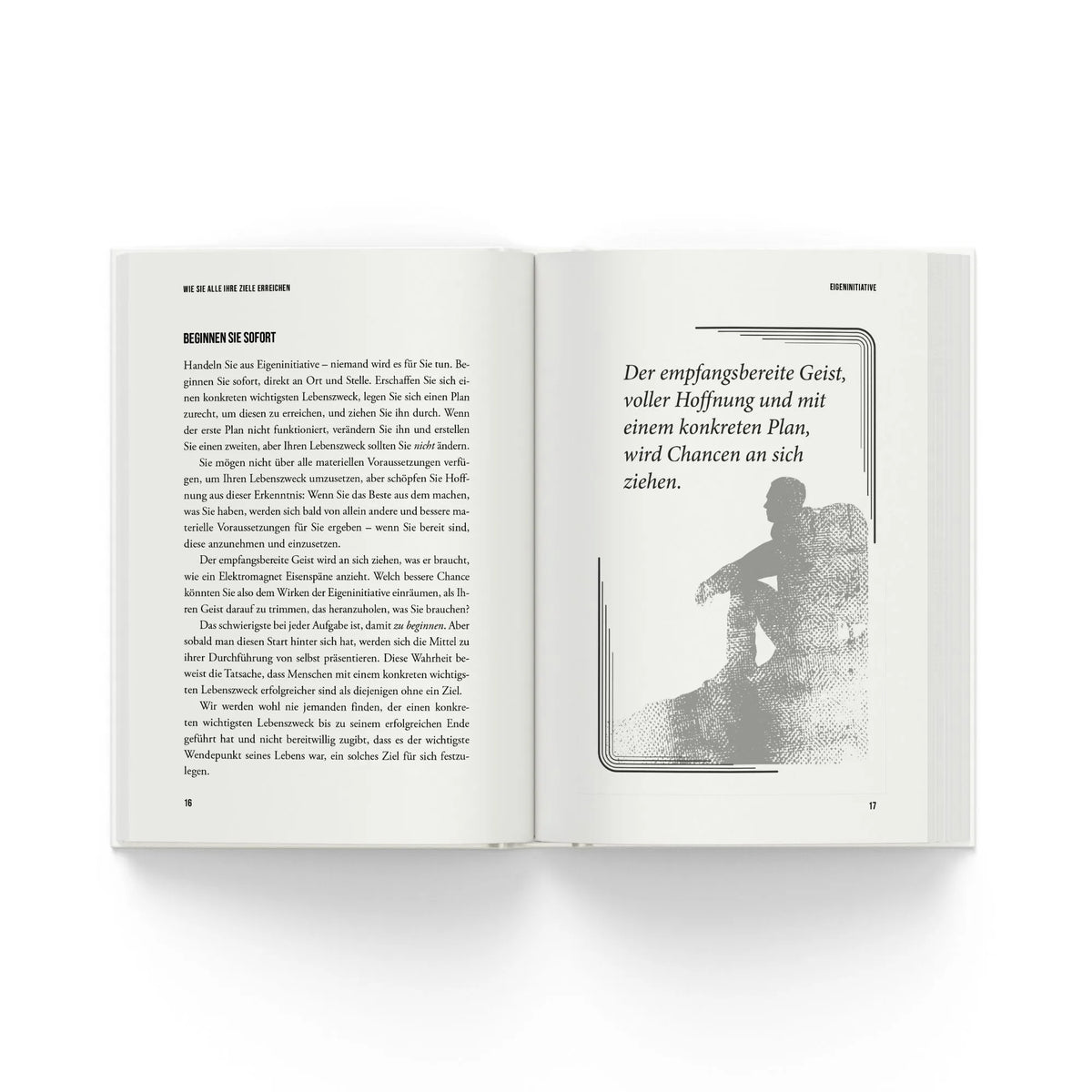 Detailansicht: Napoleon Hills wie Sie alle Ihre Ziele erreichen (Hardcover)