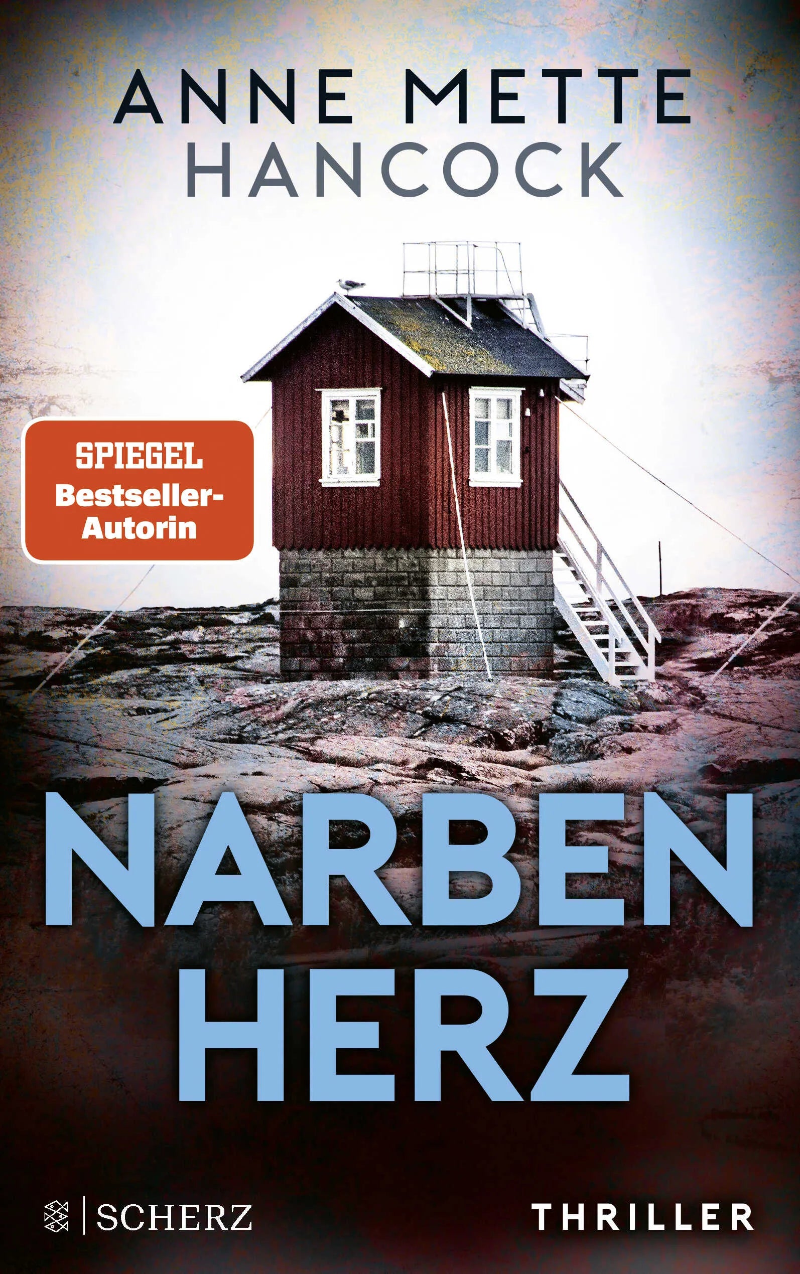Buchcover von 'Narbenherz' - Paperback von Anne Mette Hancock
