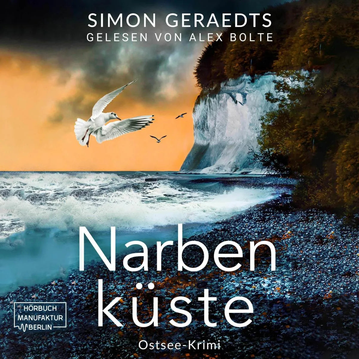 Cover: Narbenküste (Hörbuch Download) von Simon Geraedts