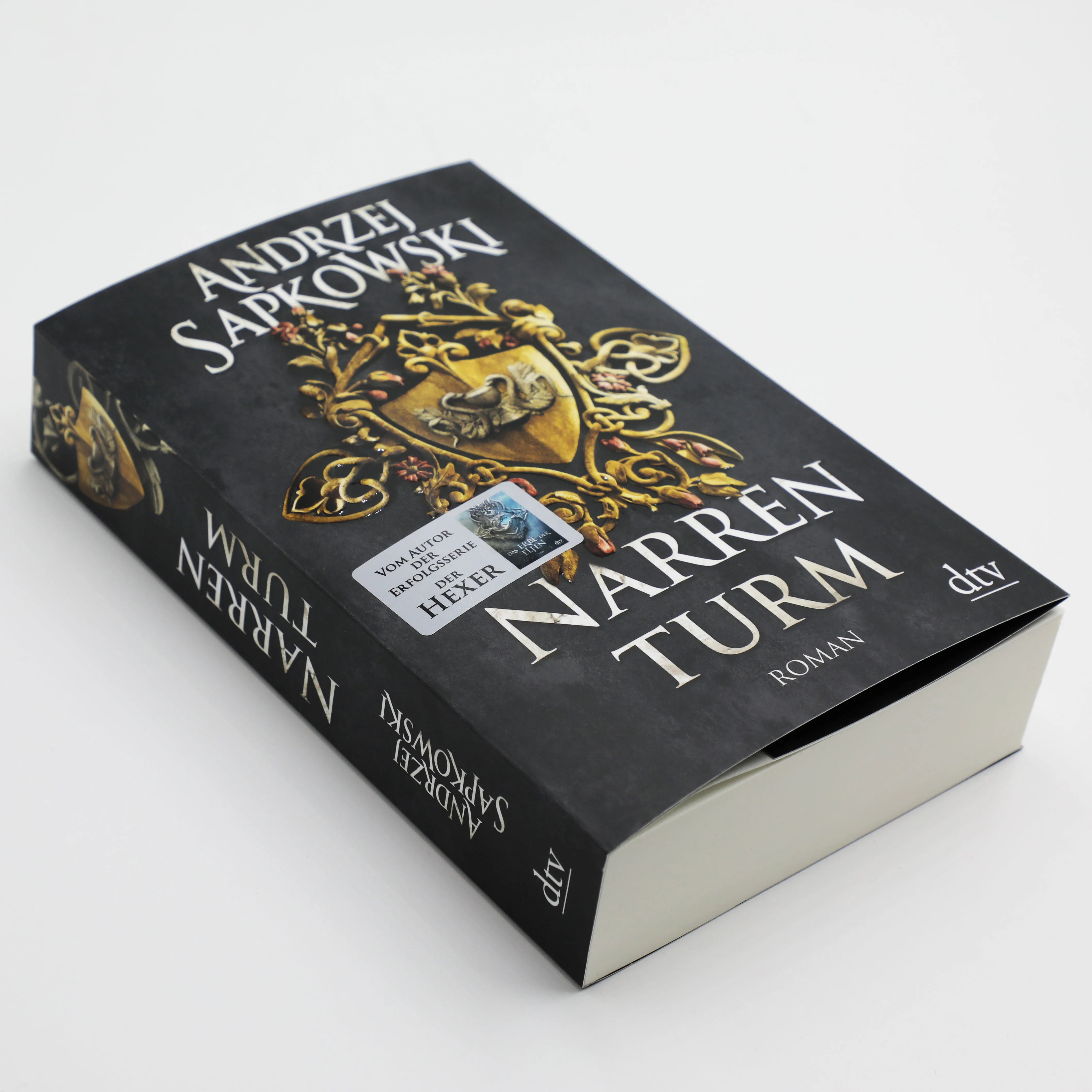 Produktansicht: Narrenturm (Paperback)