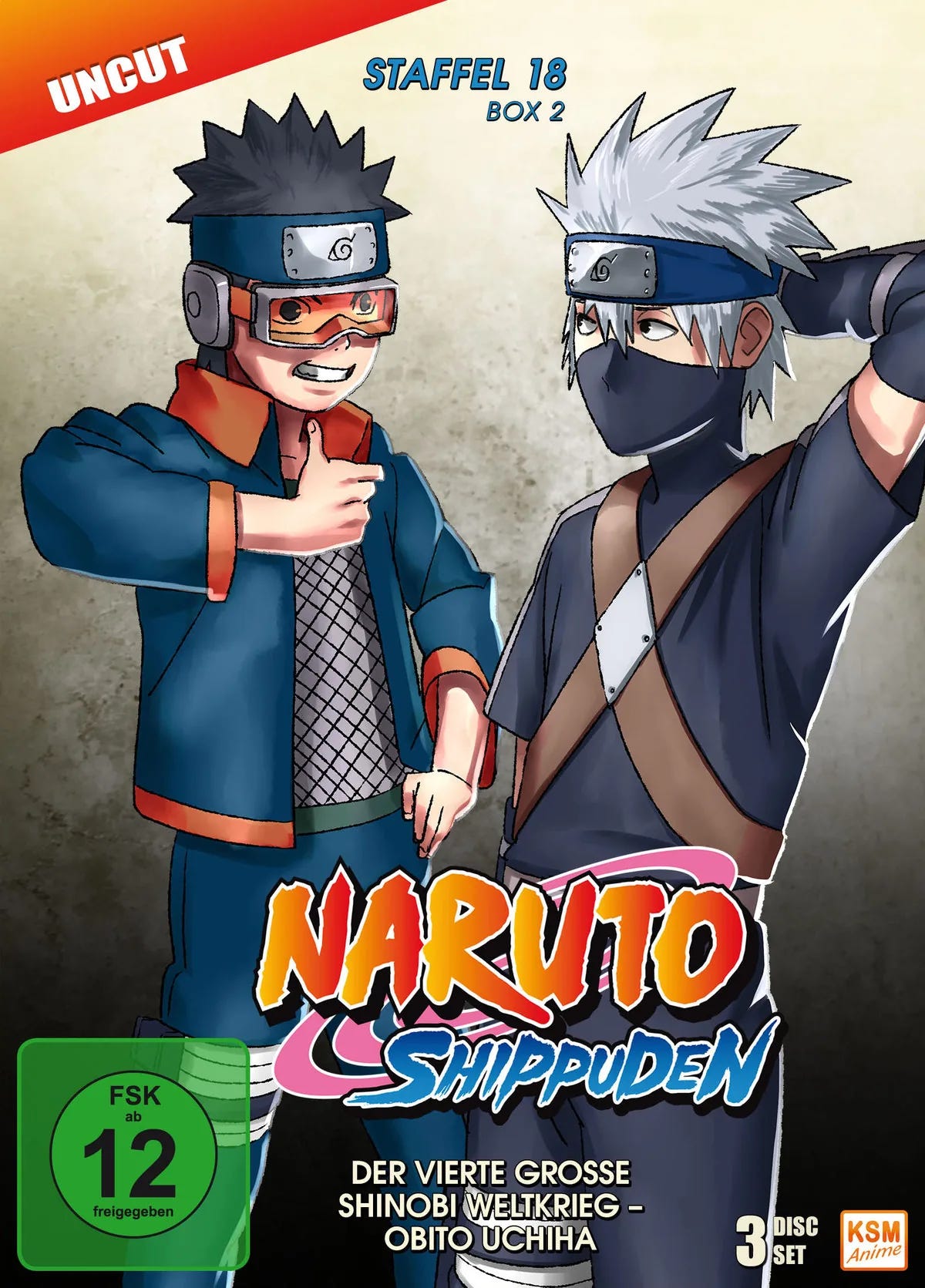 Naruto Shippuden - Staffel 18.2  [3 DVDs] - DVD
