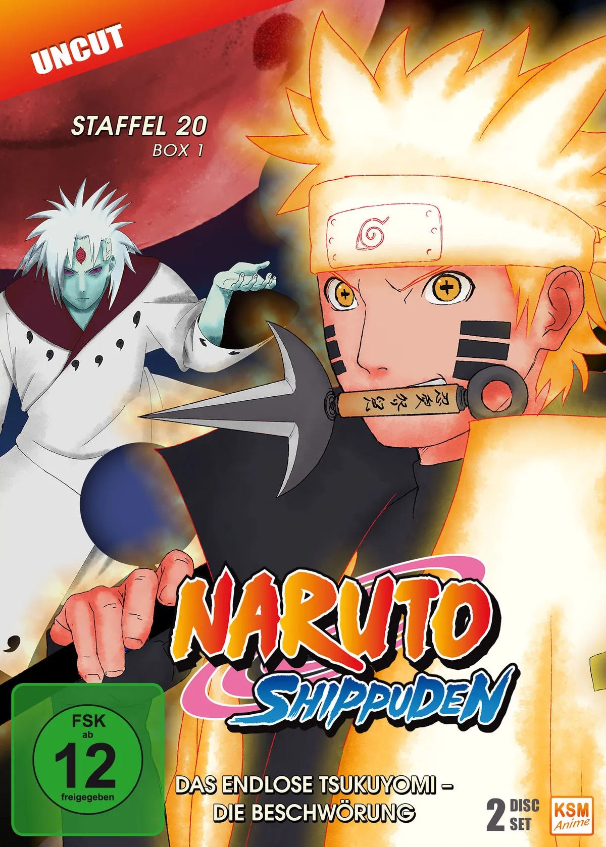 Naruto Shippuden - Staffel 20.1  [2 DVDs] - DVD