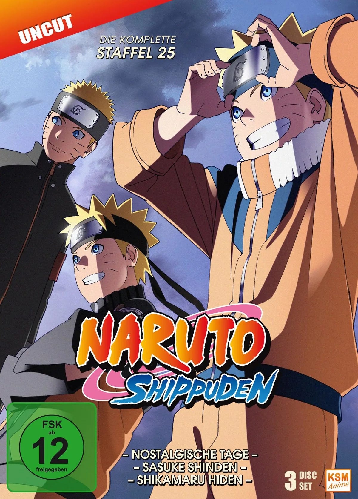 Naruto Shippuden - Staffel 25 (Folgen 700-713) - DVD