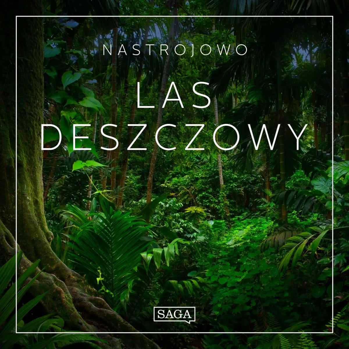 Cover: Nastrojowo - Las Deszczowy (Hörbuch Download) von Rasmus Broe