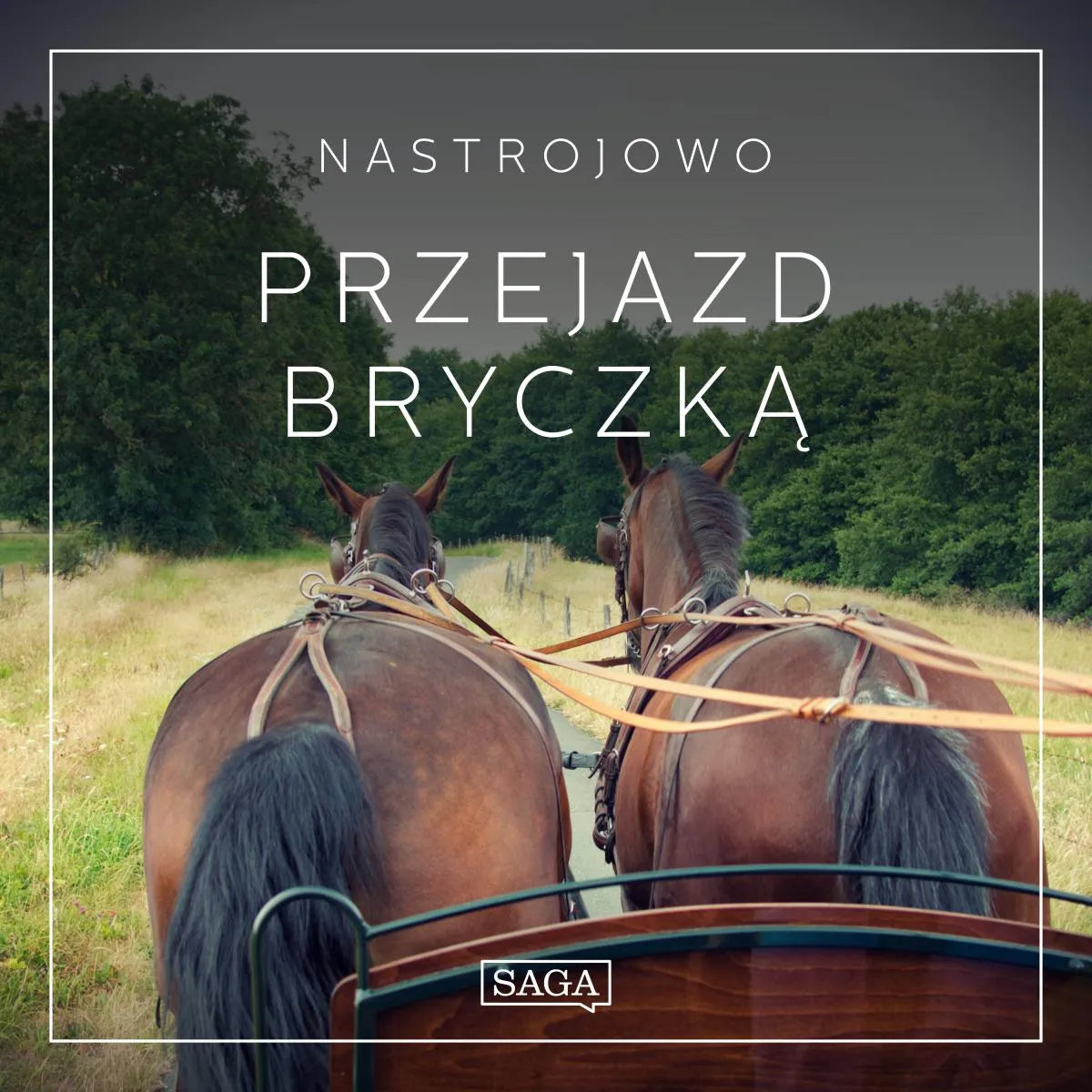 Cover: Nastrojowo - Przejazd Bryczką (Hörbuch Download) von Rasmus Broe