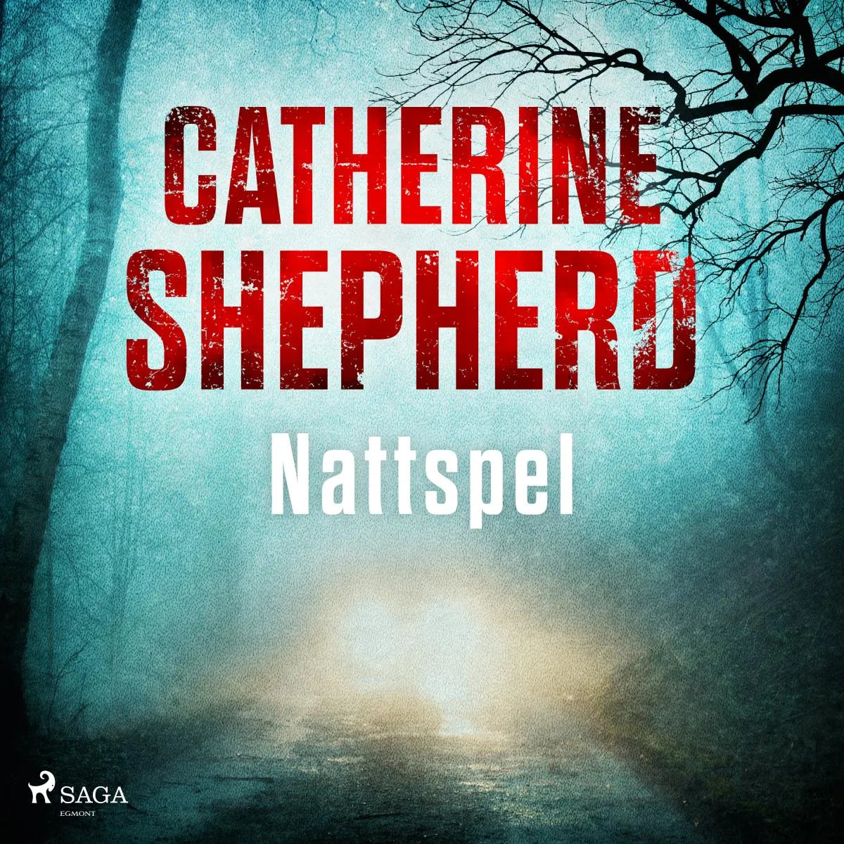 Cover: Nattspel (Hörbuch Download) von Catherine Shepherd