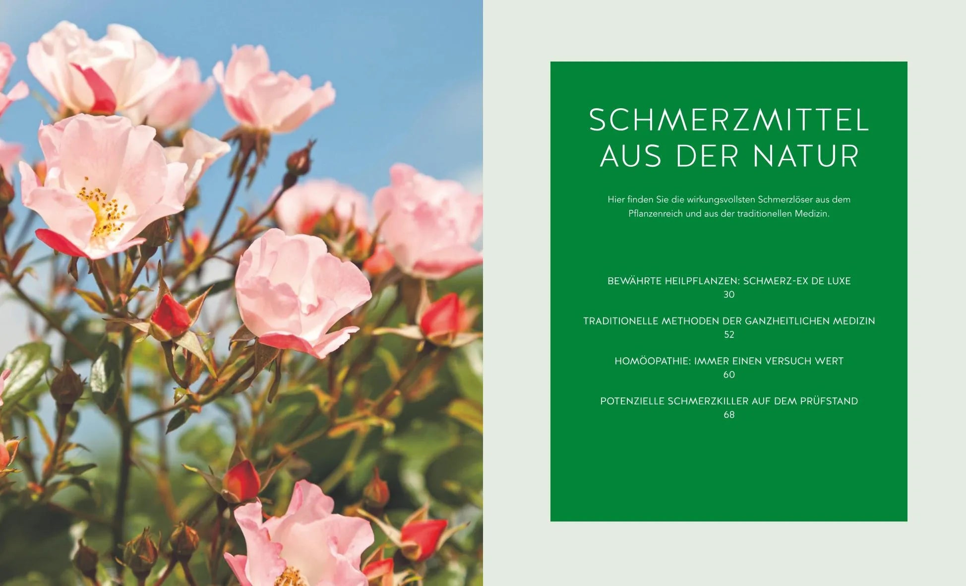 Aruna M. Siewert - Natürliche Schmerzkiller