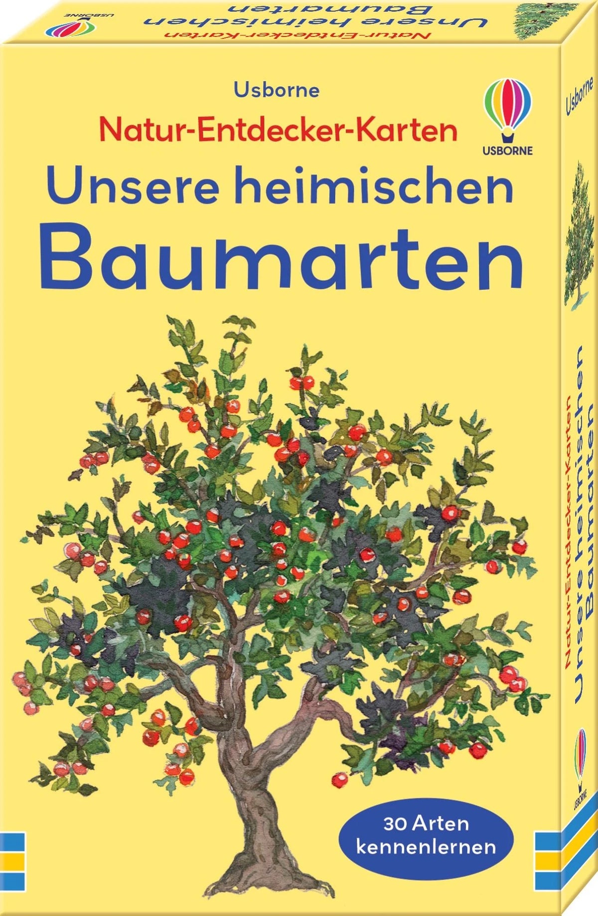 Gesellschaftsspiel: Natur-Entdecker-Karten: Unsere heimischen Baumarten