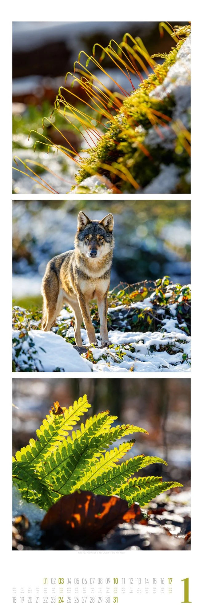 Nature Triplet-Kalender 2027 – Ansicht