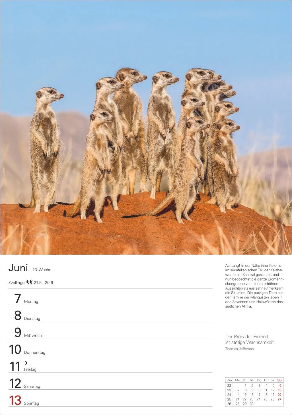 Naturschätze Afrikas Wochenplaner 2027 - Eine Reise in 53 Bildern – Ansicht