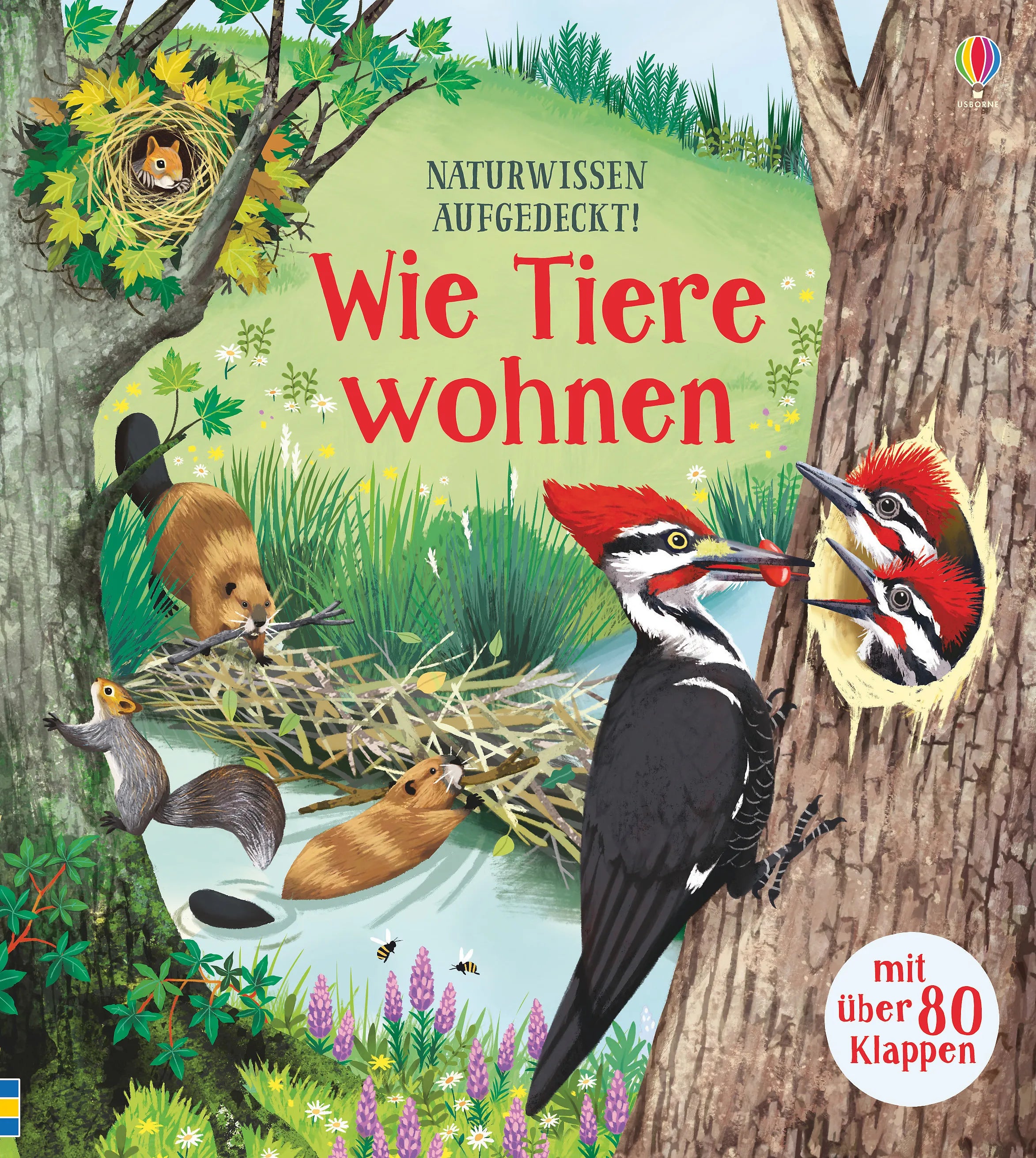 Buchcover von 'Naturwissen aufgedeckt! Wie Tiere wohnen' - Gebundene Ausgabe von Emily Bone