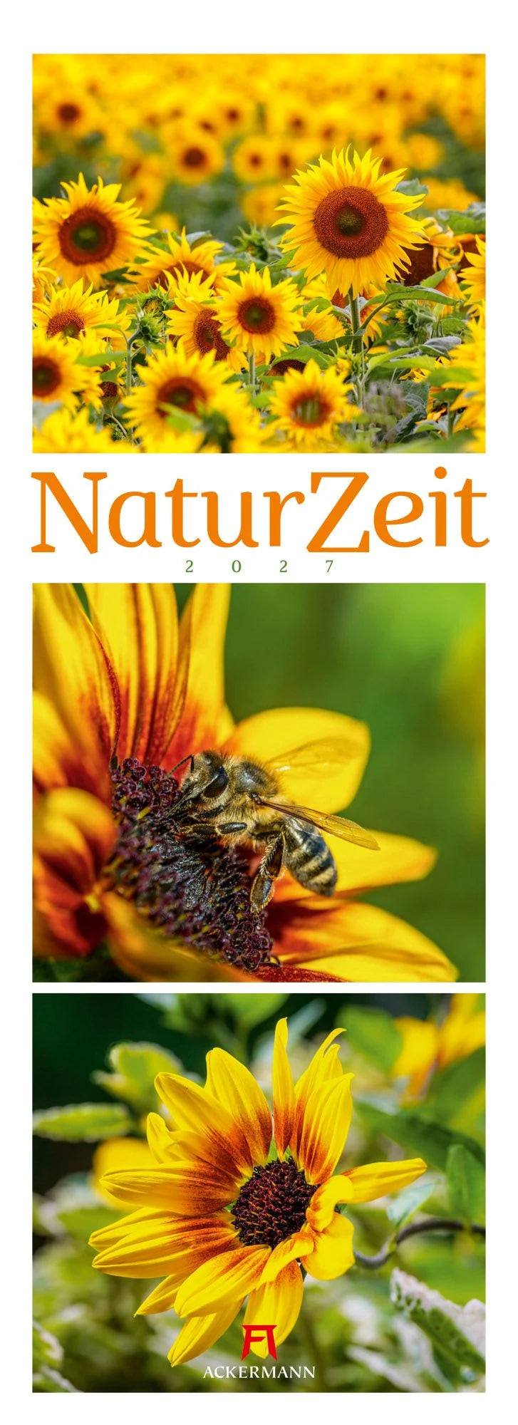 Wandkalender: NaturZeit Triplet-Kalender 2027