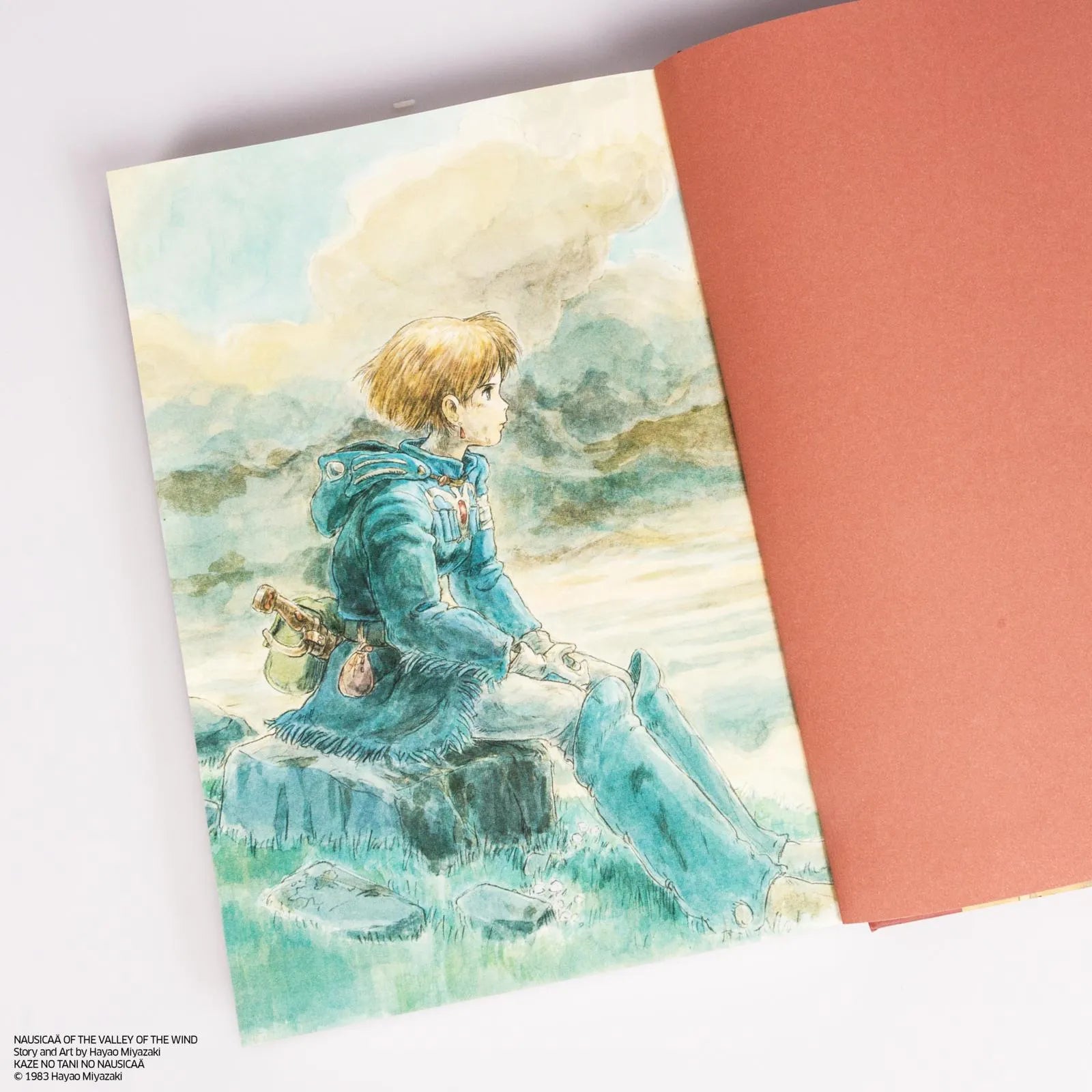 Produktansicht: Nausicaä aus dem Tal der Winde: Doppelband-Edition 3 (Gebundene Ausgabe)