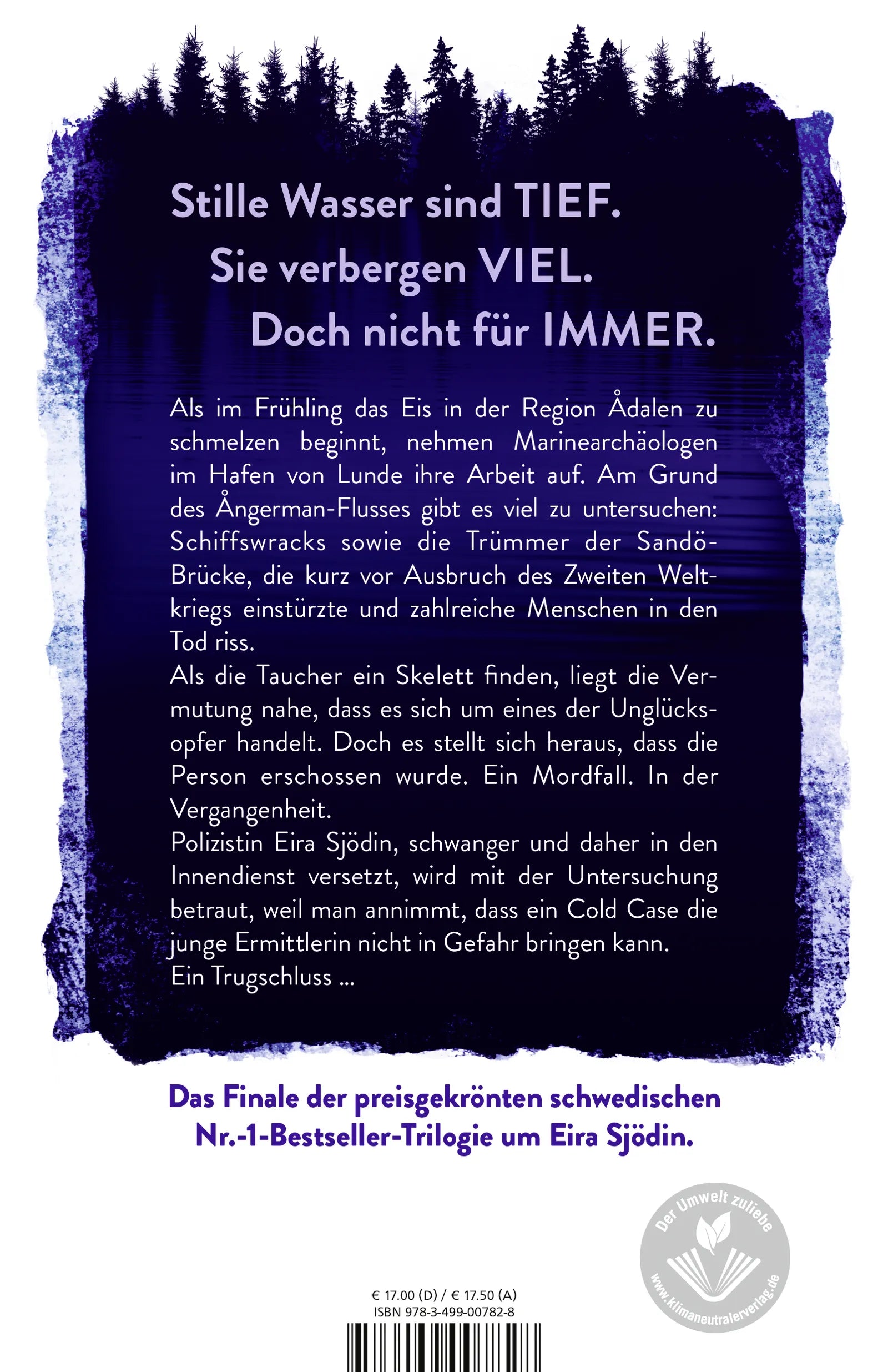 Buchrückseite von 'Nebelblau' mit Klappentext - Paperback