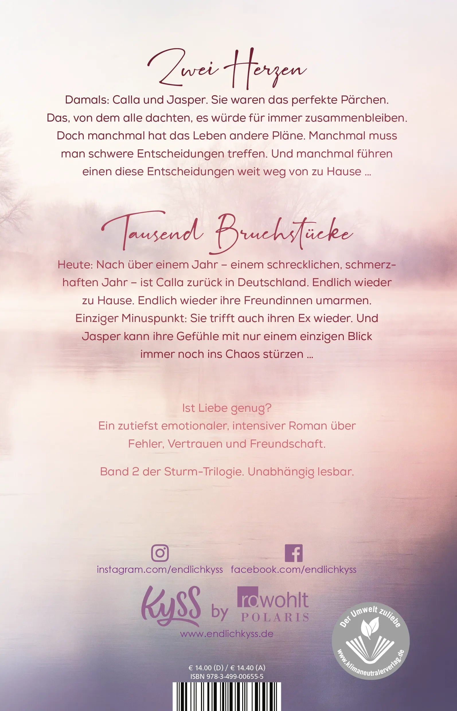 Buchrückseite von 'Nebelschimmer' mit Klappentext - Paperback