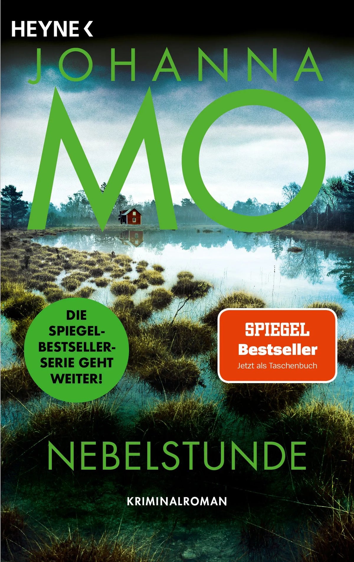 Cover: Nebelstunde (Taschenbuch) von Johanna Mo
