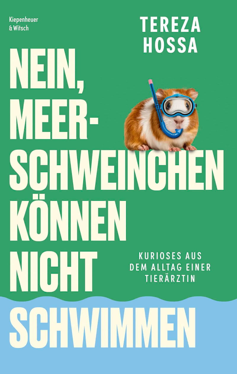 Nein, Meerschweinchen können nicht schwimmen
