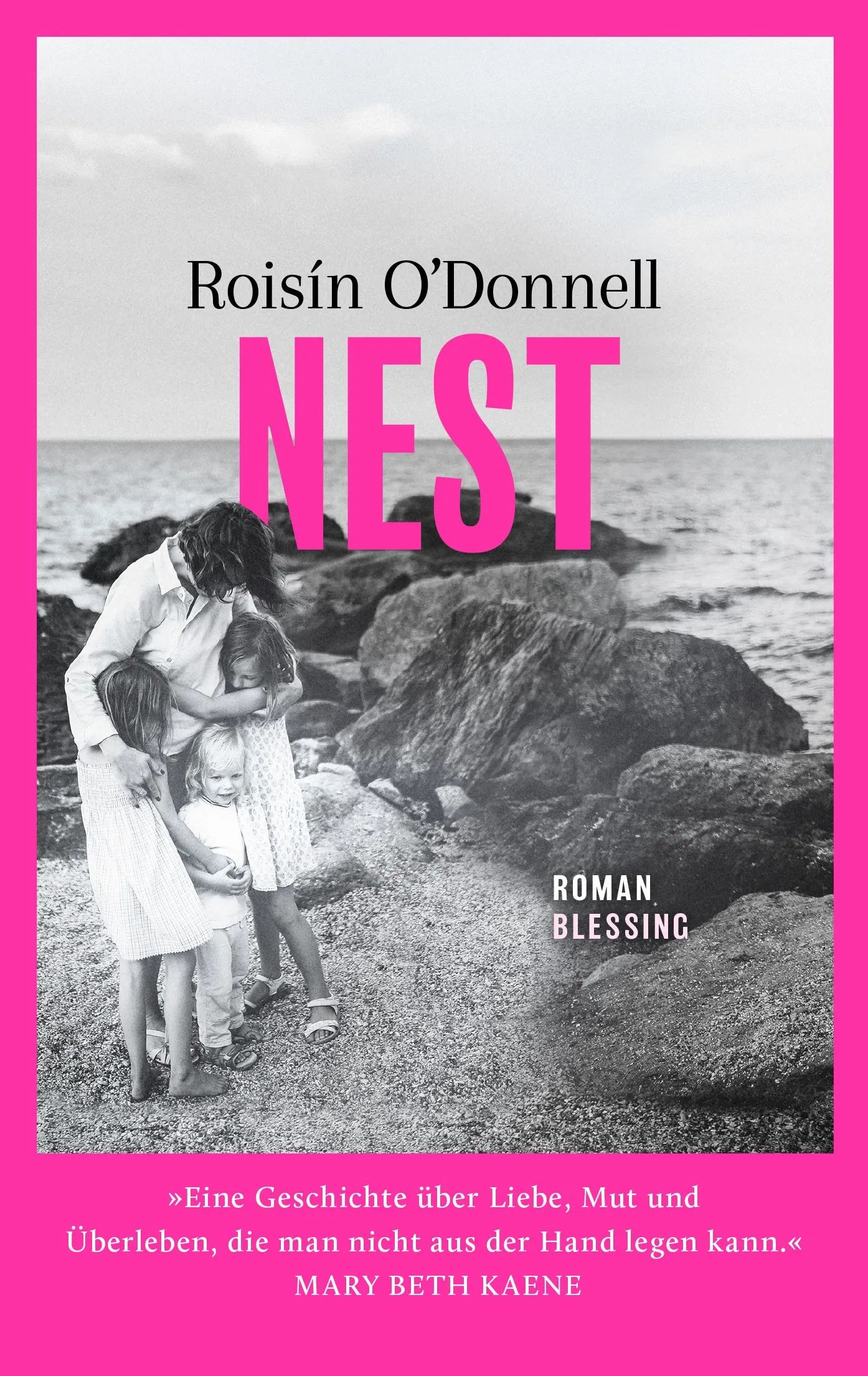 Cover: Nest (Taschenbuch) von Roisin O'Donnell