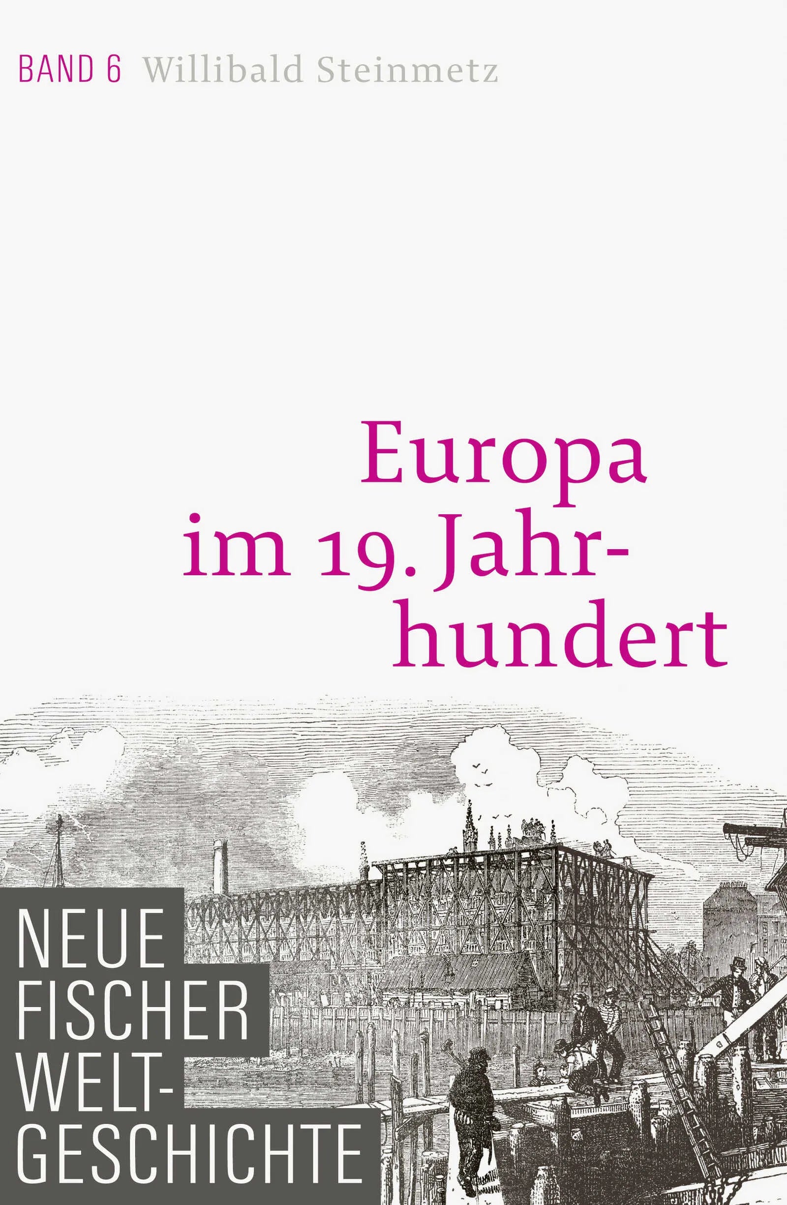Buchcover von 'Neue Fischer Weltgeschichte. Band 6' - Gebundene Ausgabe von Willibald Steinmetz