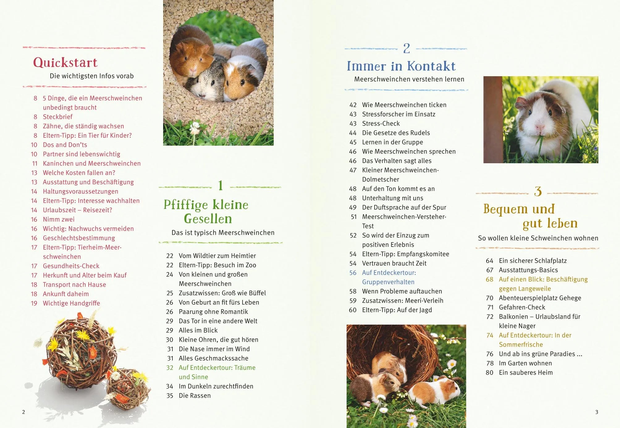 Immanuel Birmelin - Neugierige Meerschweinchen