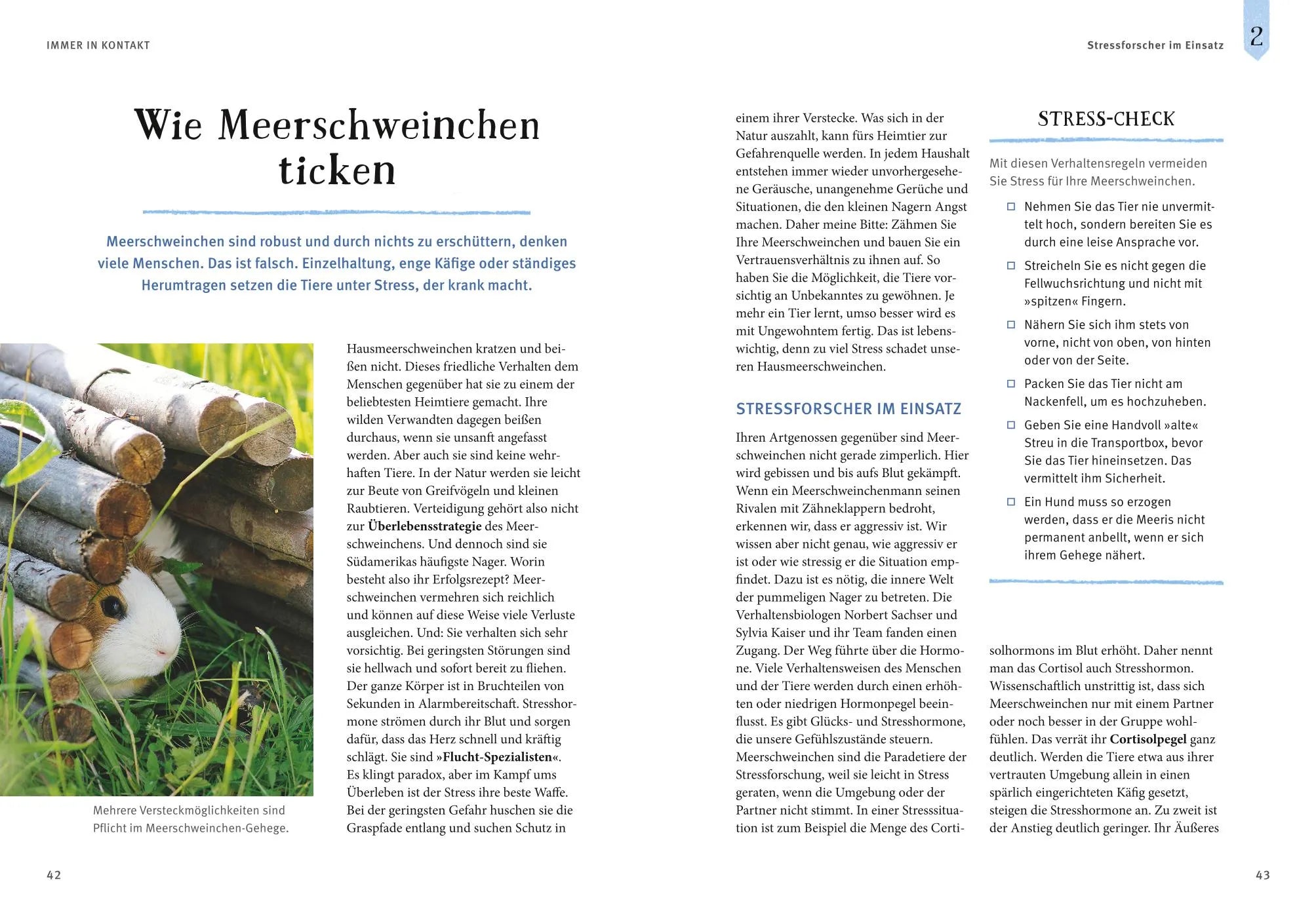 Produktansicht: Neugierige Meerschweinchen (Taschenbuch)