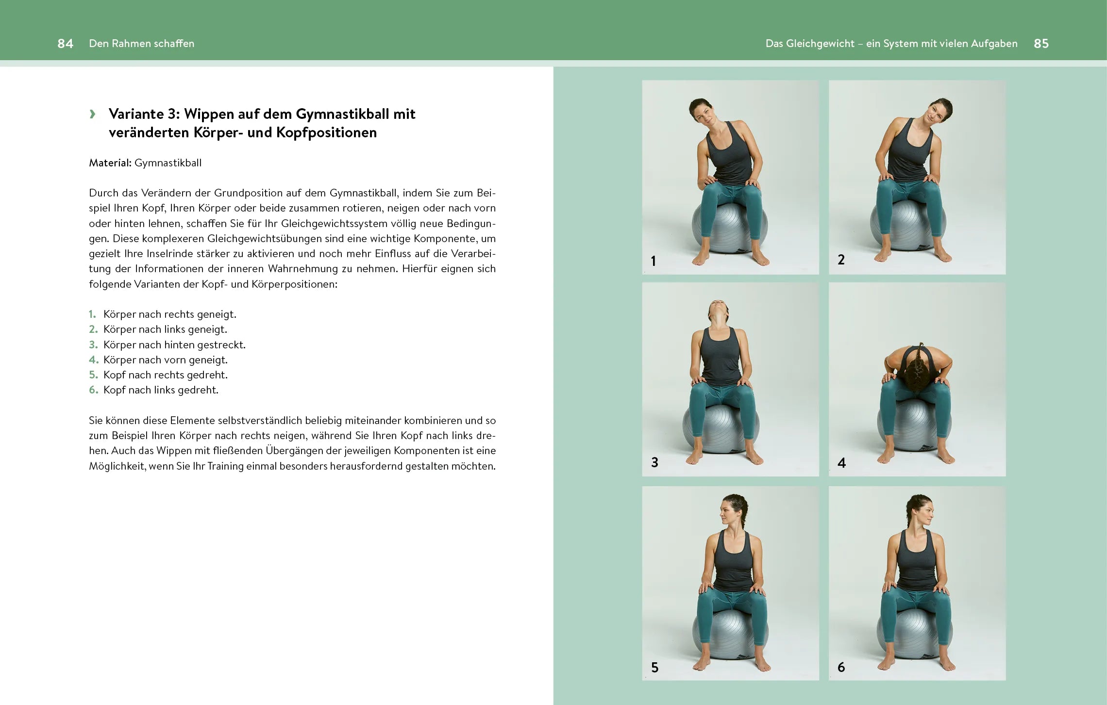 Innenansicht von 'Neuronale Heilung' - Taschenbuch