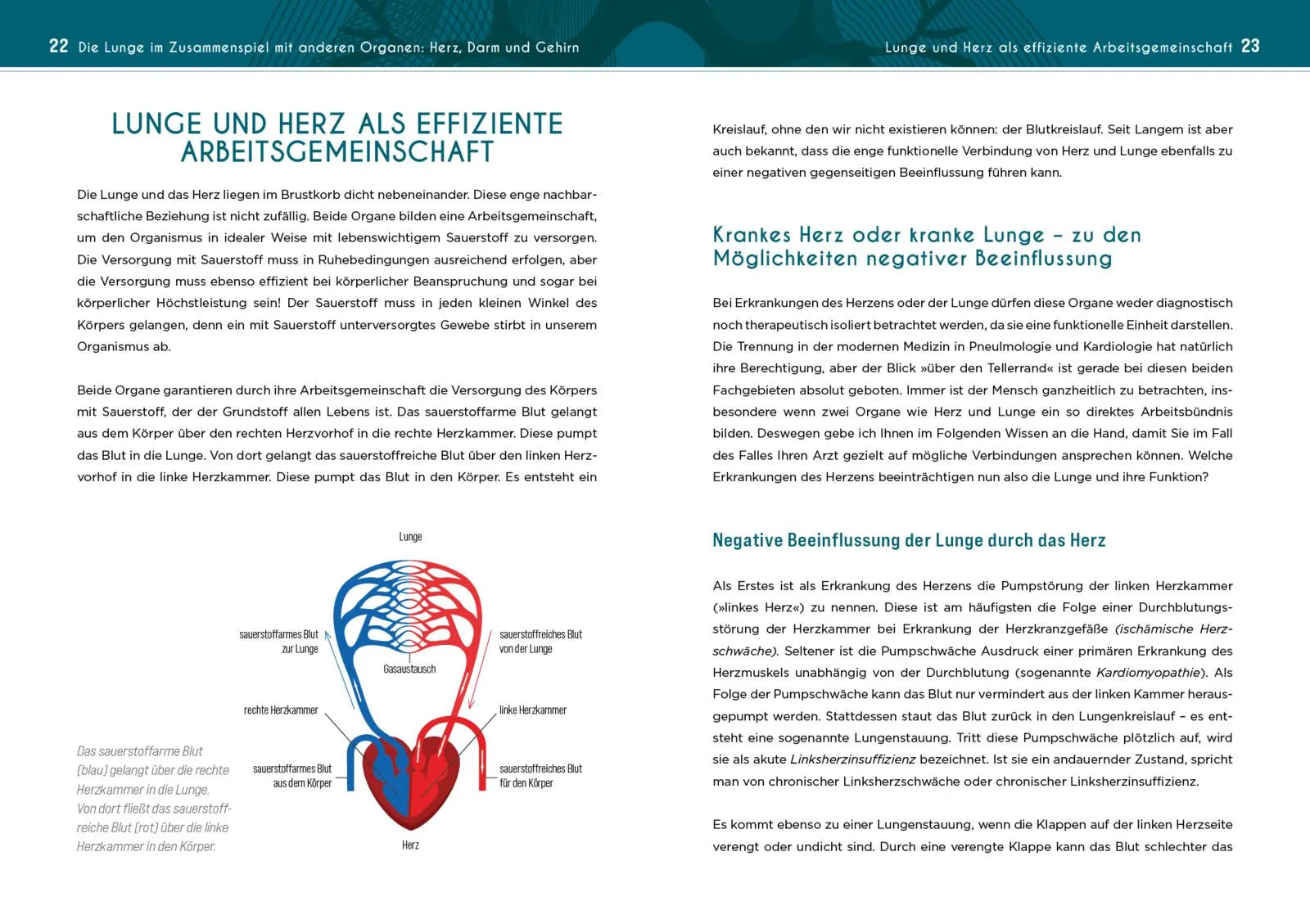Innenansicht von 'Neustart für die Lunge' - Taschenbuch