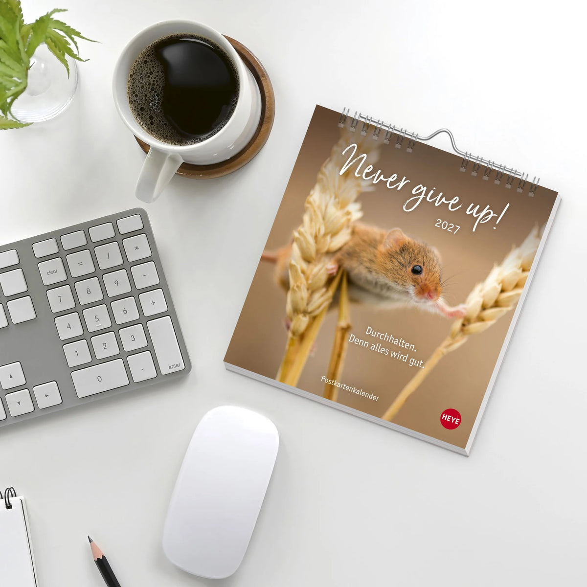 Never give up! Postkartenkalender 2027 - Durchhalten. Denn alles wird gut. – Ansicht