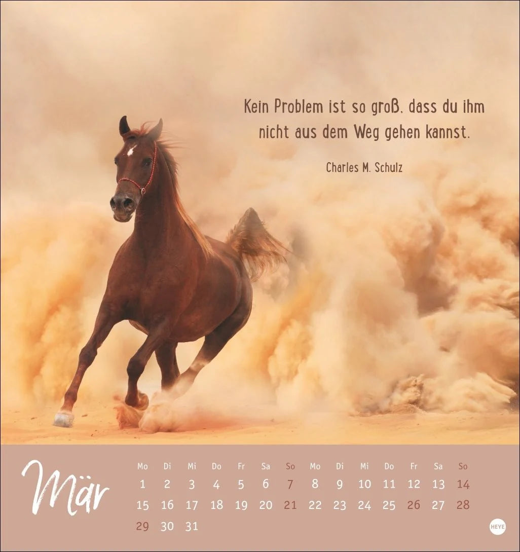 Never give up! Postkartenkalender 2027 - Durchhalten. Denn alles wird gut. – Ansicht