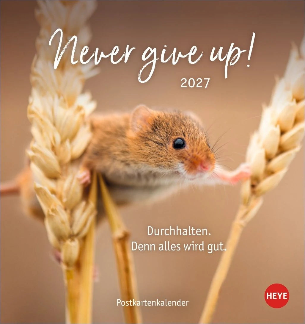 Postkartenkalender: Never give up! Postkartenkalender 2027 - Durchhalten. Denn alles wird gut.