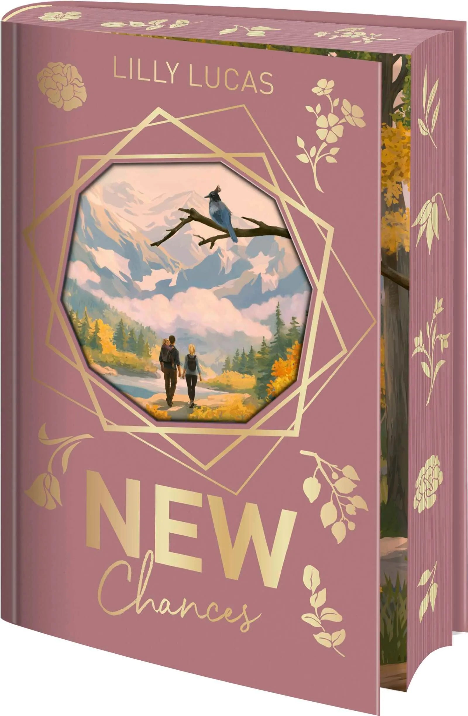 Cover: New Chances (Hardcover) von Lilly Lucas