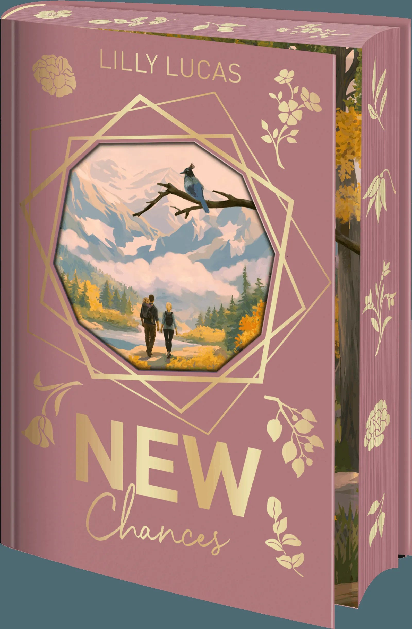 Detailansicht: New Chances (Hardcover)