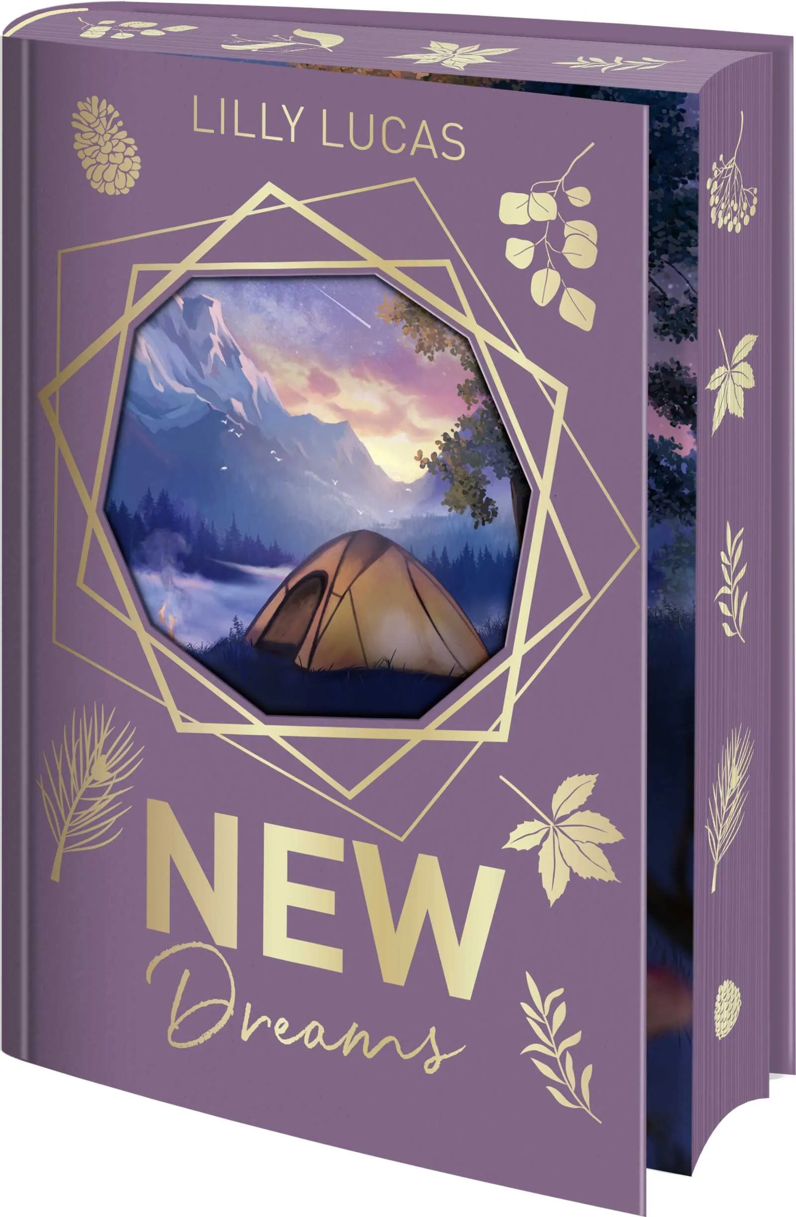 Cover: New Dreams (Hardcover) von Lilly Lucas