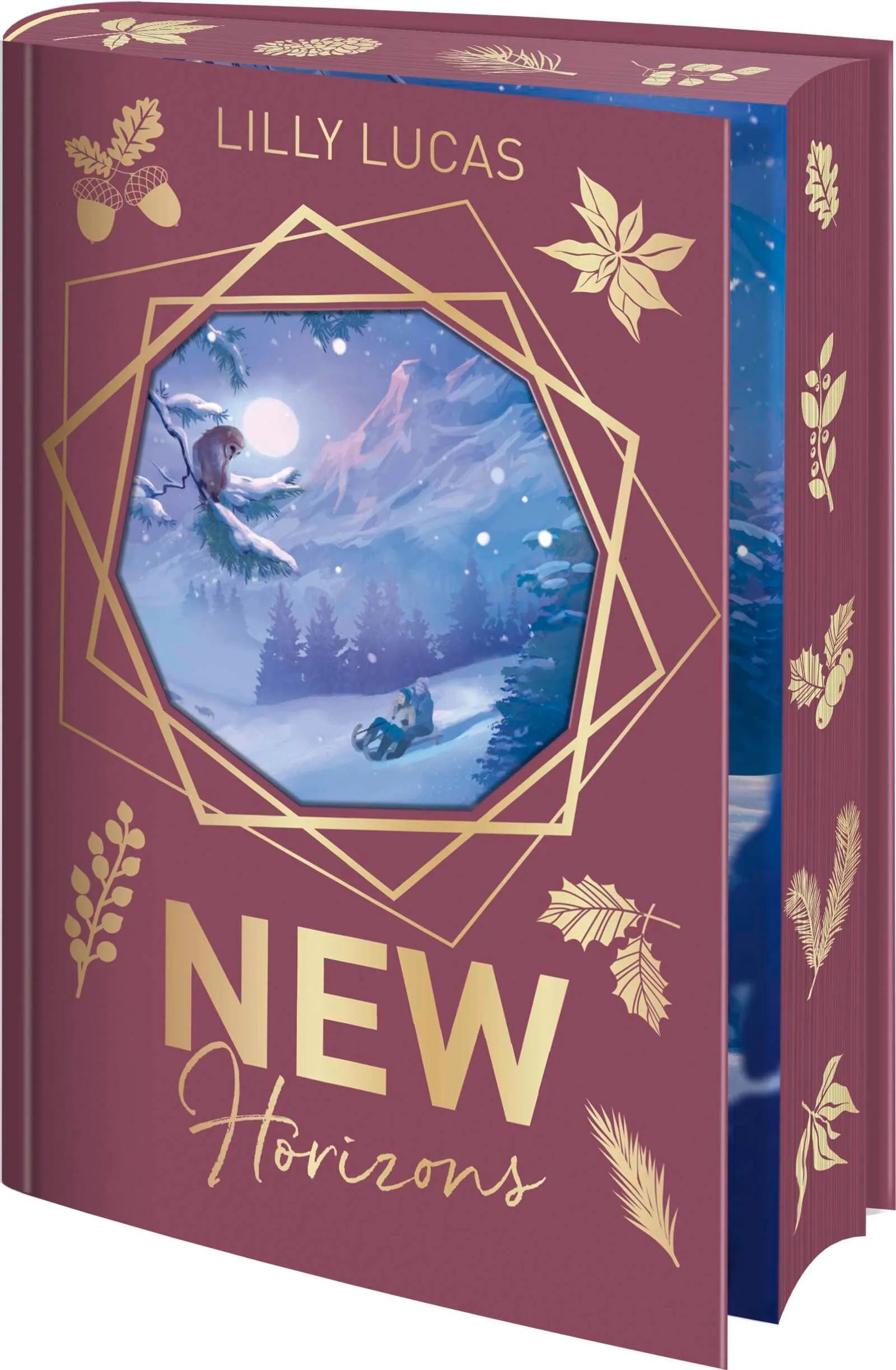 Cover: New Horizons (Hardcover) von Lilly Lucas