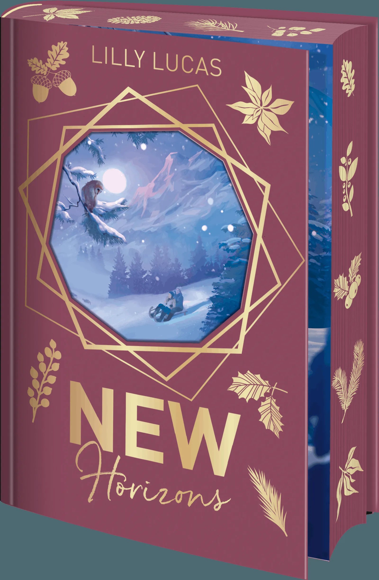 Detailansicht: New Horizons (Hardcover)