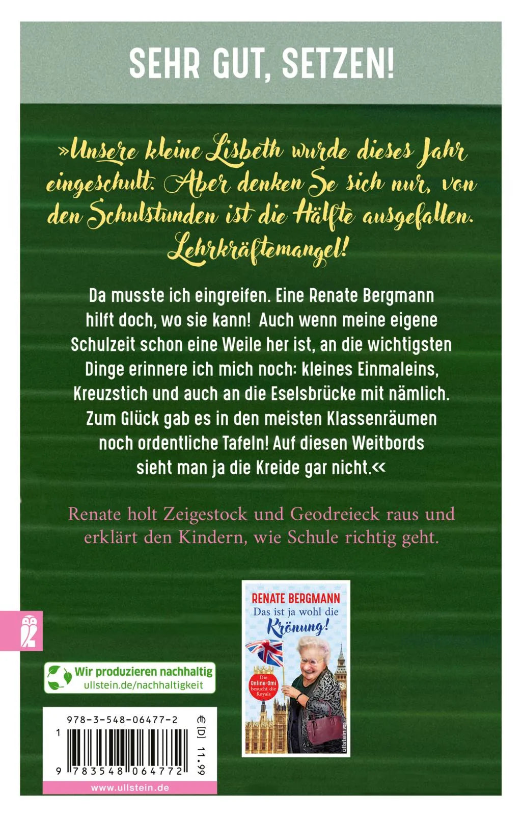 Buchrückseite von 'Nicht, dass noch einer sitzenbleibt!' mit Klappentext - Taschenbuch