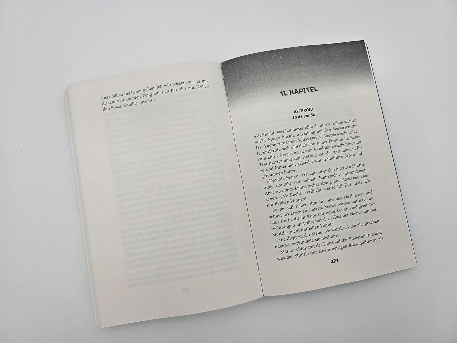 Produktansicht: Terra Perdita (Paperback)
