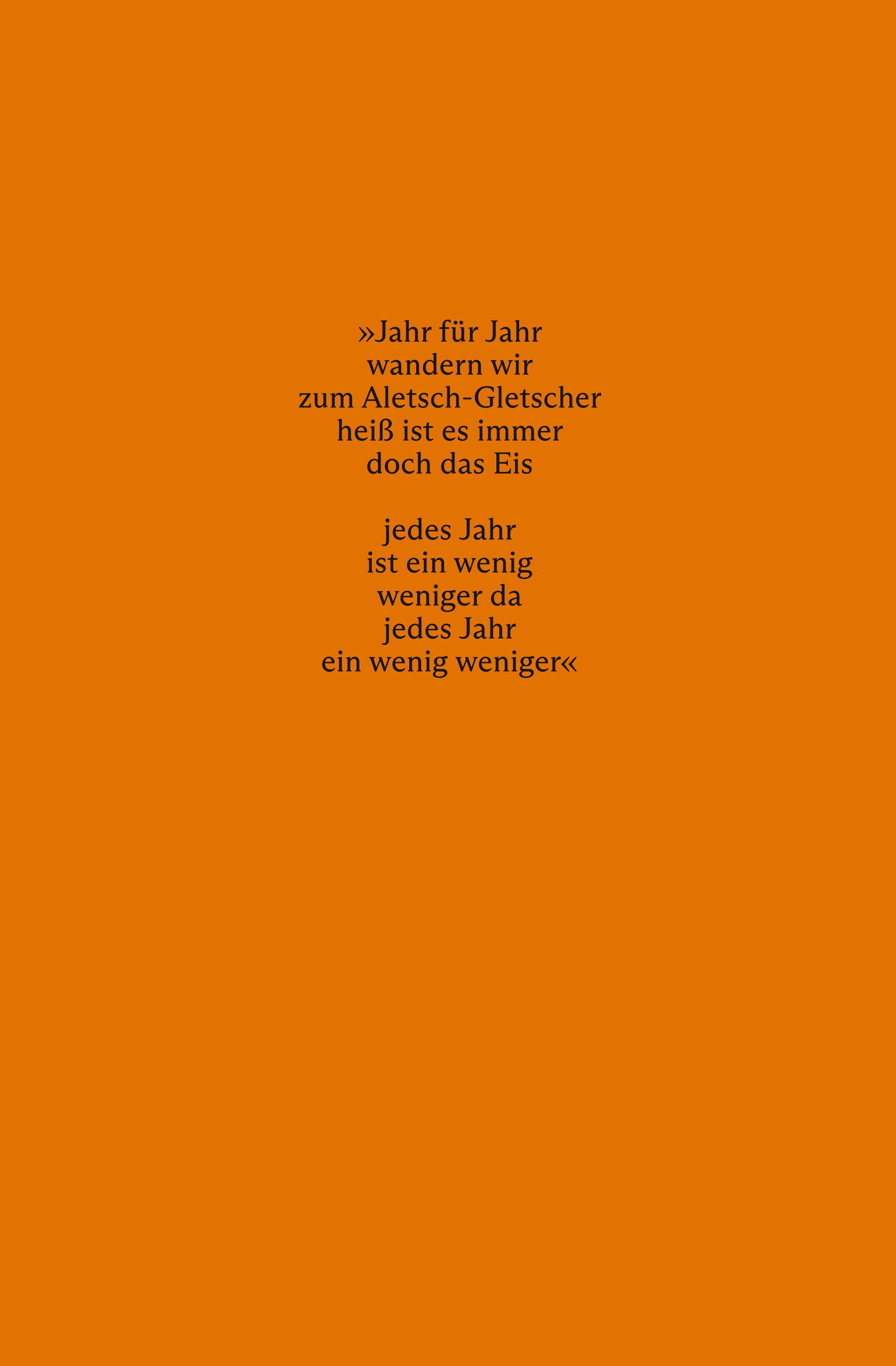 Buchrückseite von 'Niederwald' mit Klappentext - Taschenbuch