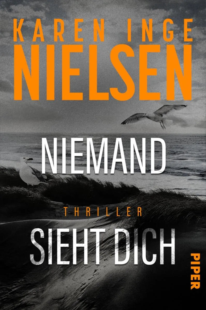 Cover: Niemand sieht dich (E-Book) von Karen Inge Nielsen