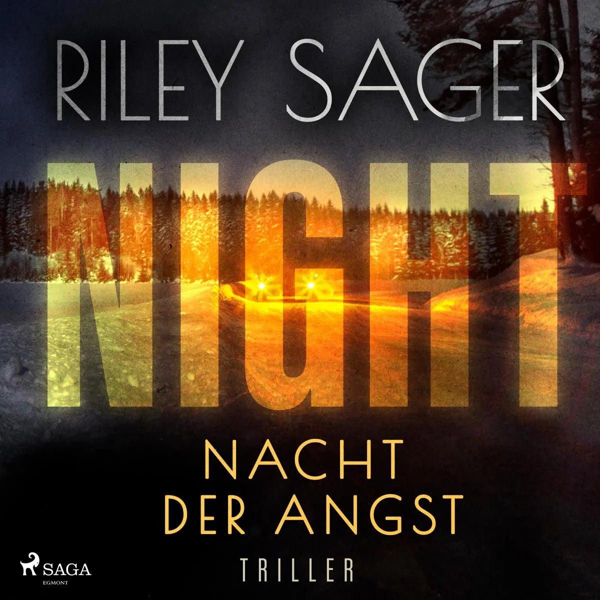 Cover: NIGHT - Nacht der Angst (Hörbuch Download) von Riley Sager