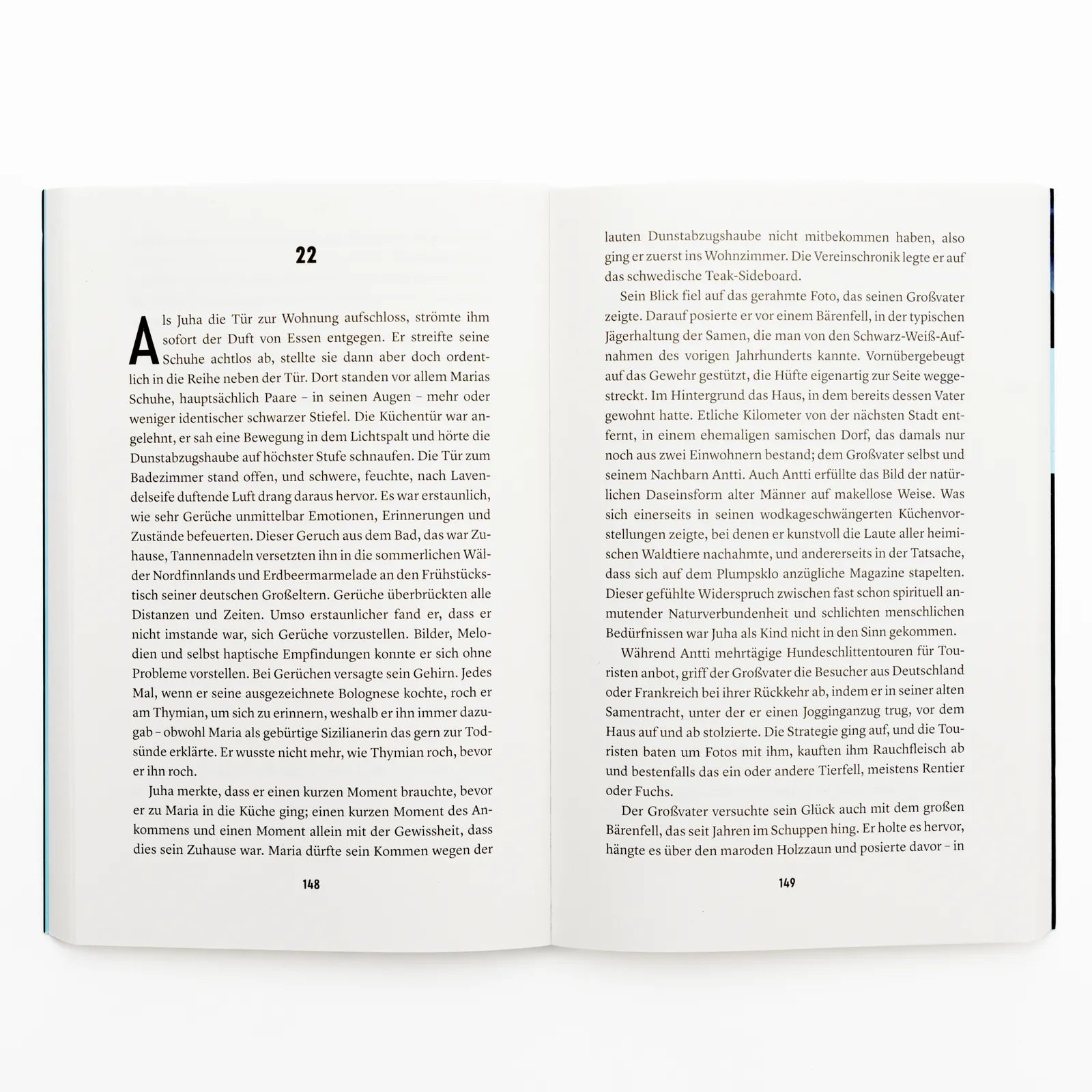 Produktansicht: Das Dickicht (Taschenbuch)