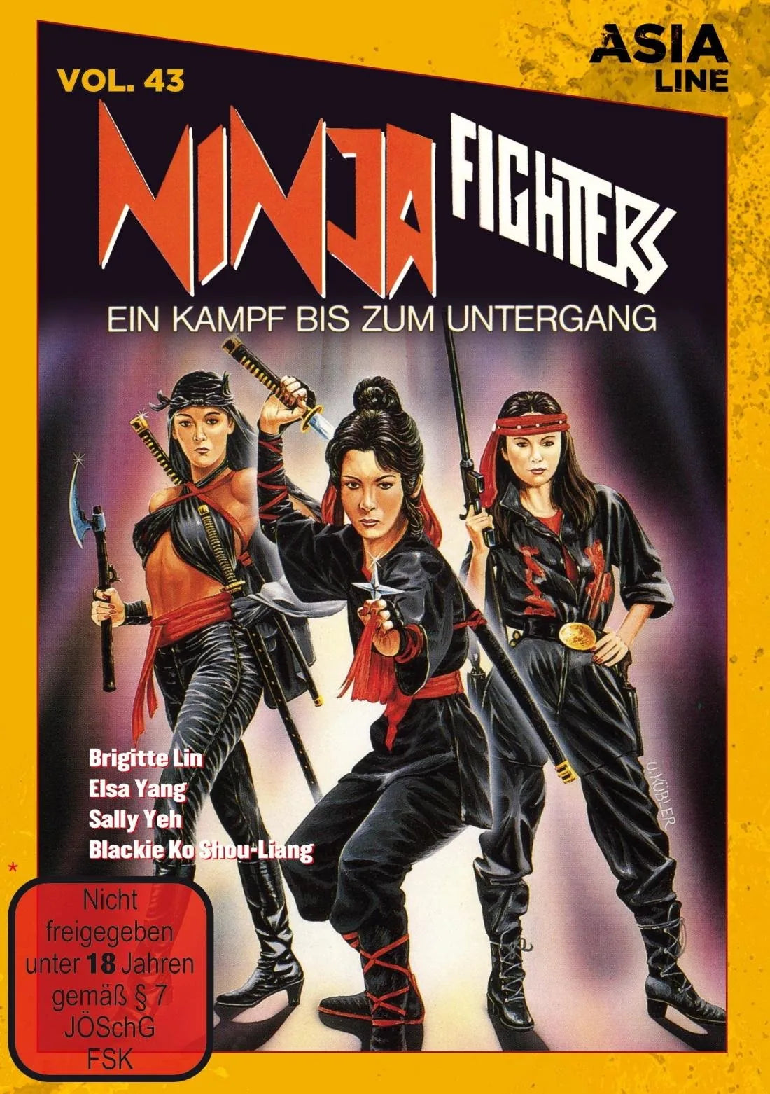 Ninja Fighters - Ein Kampf bis zum Untergang - DVD
