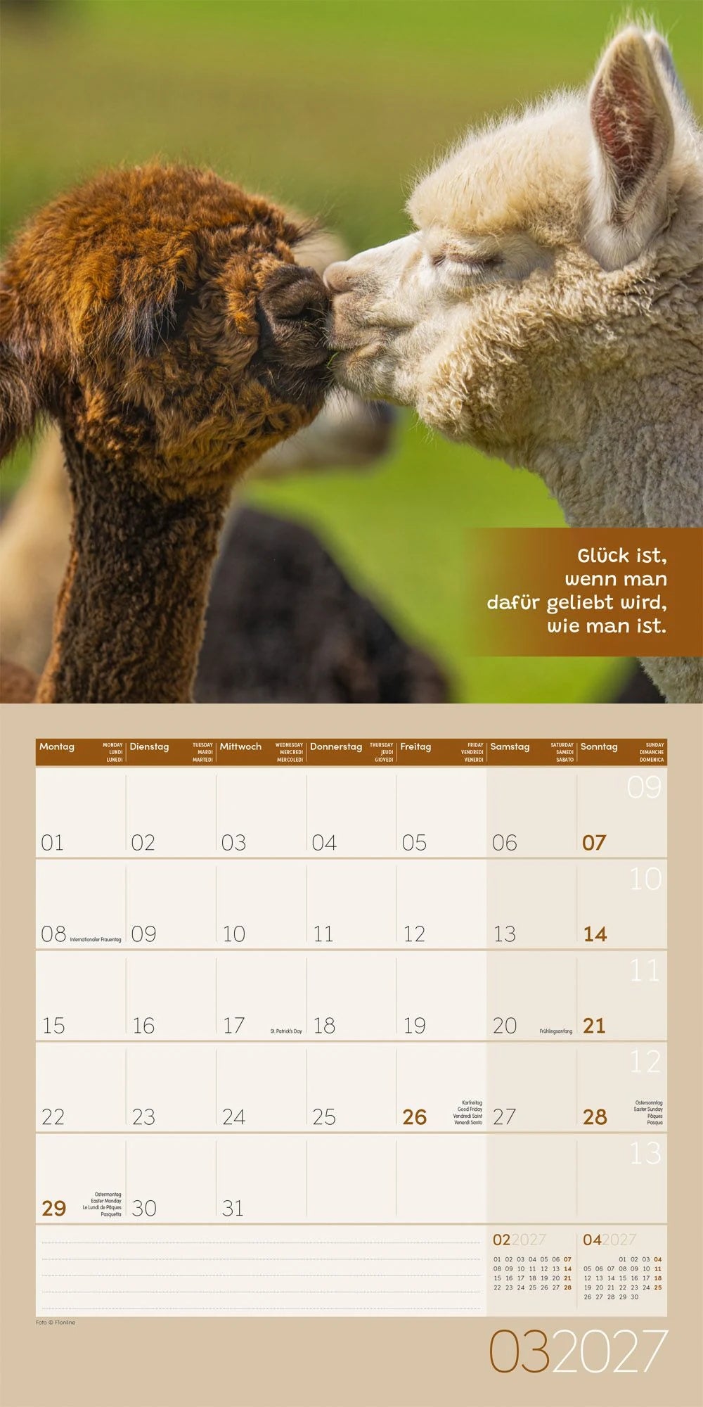 No Drama, Lama Kalender 2027 - 30x30 - Art12 – Ansicht