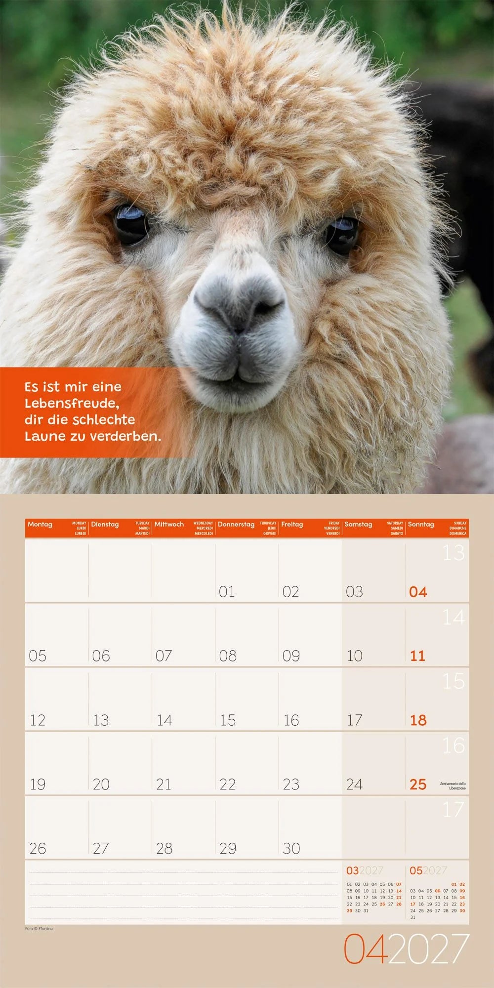 No Drama, Lama Kalender 2027 - 30x30 - Art12 – Ansicht