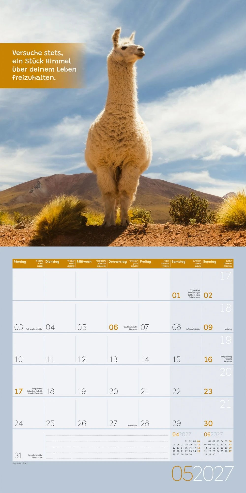 No Drama, Lama Kalender 2027 - 30x30 - Art12 – Ansicht