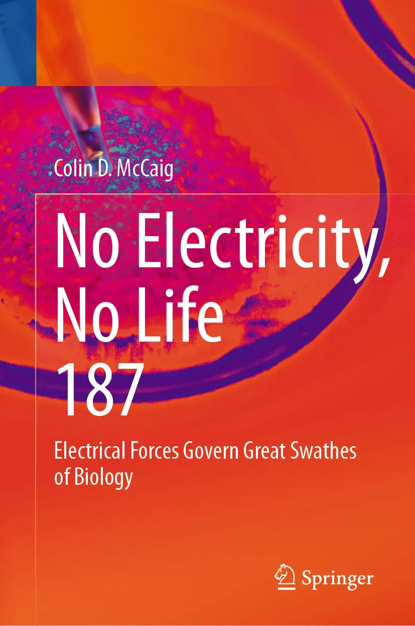Cover: No Electricity, No Life (E-Book) von Colin D. McCaig