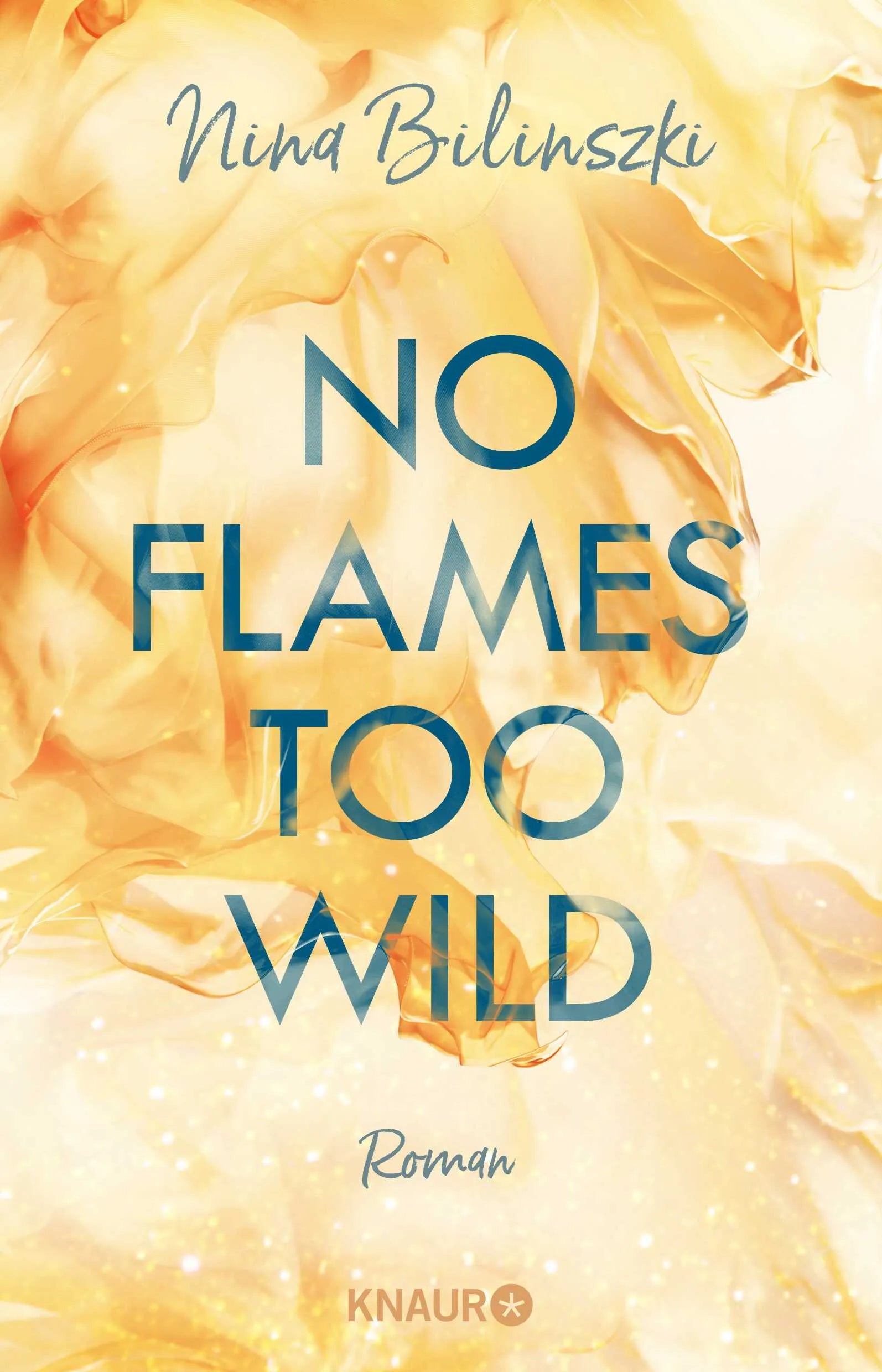 Buchcover von 'No Flames too wild' - Paperback von Nina Bilinszki